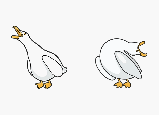 screaming seagull bird animal Cursor